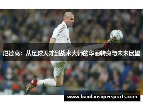 厄德高：从足球天才到战术大师的华丽转身与未来展望