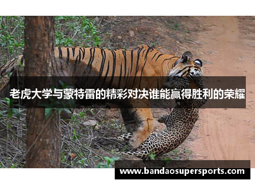 老虎大学与蒙特雷的精彩对决谁能赢得胜利的荣耀